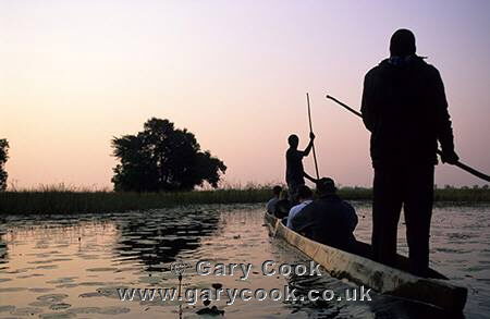 Group in Mokoros at Dawn, Okavango Delta, Botswana