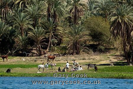 Villagers on the banks of the Nile, Egypt