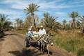 Donkey cart, Siwa oasis, Egypt