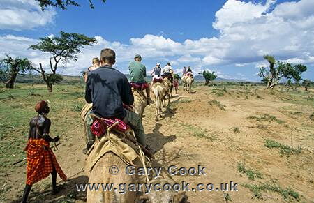 Tourist camel trek with the Samburu, near Maralal, Kenya