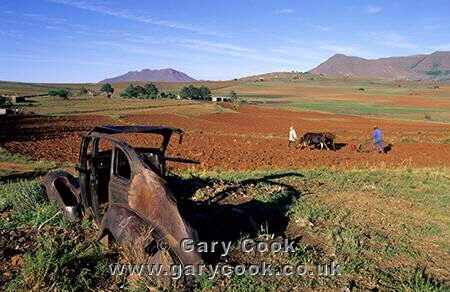 Traditional farming & rusting technology, Farmers planting Maize, Malealea, Lesotho