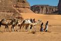 Tuareg camel train, Jebel Acacus, Sahara Desert, Libya
