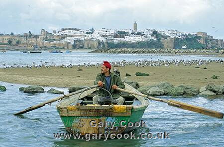 Ferryman, Oued Bou Regreg, between Sale and Rabat, Morocco