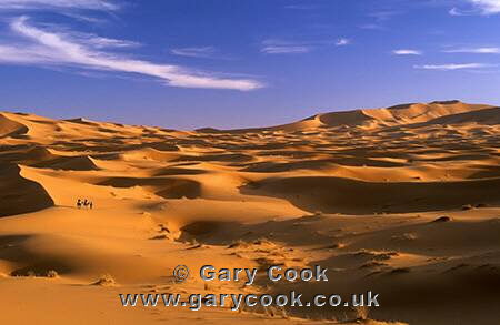 Tourist camel ride in the sand dunes of the Sahara Desert, Erg Chebbi, Morocco