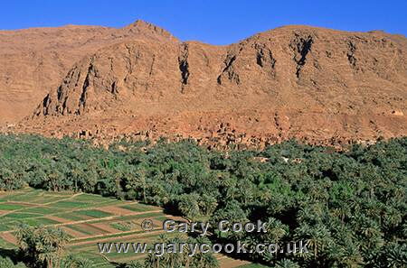 Beber Village, near Todra Gorge, Morocco