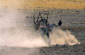 Gemsbok (Oryx) Fighting, Etosha National Park, Namibia