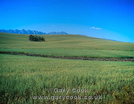 Farmland near Swellendam, Riversonderend, South Africa
