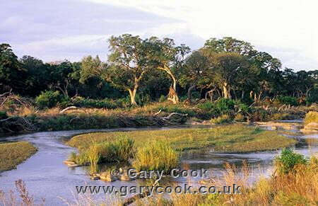 Sabie River, Kruger National Park, South Africa