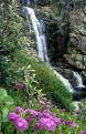 Waterfall, Tsitsikamma National Park, South Africa