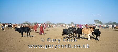 Masai cattle market, near Arusha, Tanzania