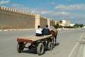 Horse and cart in front of the city walls, Kairouan, Tunisia