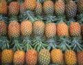 Pinapples, Jinja market, Uganda