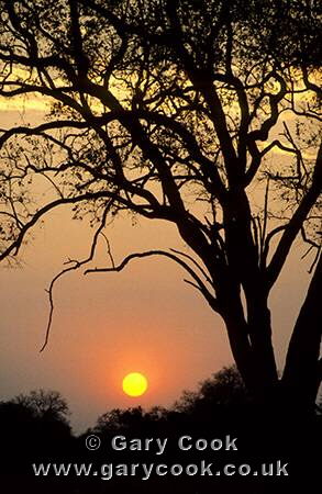 Sunset over South Luangwa National Park, Zambia