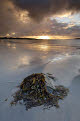 Beach at sunset, near Tully Cross, Connemara, County Galway, Ireland