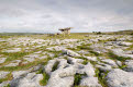 Poulnabrone Dolmen Portal Megalithic Tomb, The Burren, County Clare, Ireland