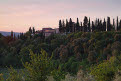 Chianti countryside at dawn, near San Gimignano, Tuscany, Italy