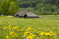 Typical Latvian farmstead, near Ligatne, Gauja National Park, Latvia