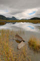 Marshy landscape near Moland, Vestvagoya, Lofoten Islands, Norway
