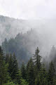 Misty mountains, Carpathian mountains between Transylvania and Moldavia, Romania