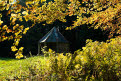 Summer house, Drumlanrig forest in autumn, Dumfries and Galloway Scotland
