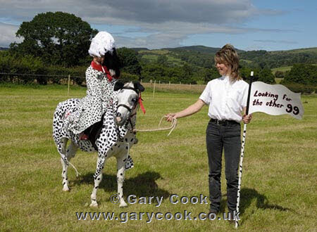 Jodie Craig on Tommy, winner of the Fancy Dress as two of the 101 dalmations, Gatehouse Gala Horse and Pony Show 2008
