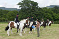 Coloured Pony Class, Gatehouse Gala Horse and Pony Show 2007, Dumfries & Galloway, Scotland