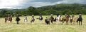 Category winners and reserves, Gatehouse Gala Horse and Pony Show 2007, Dumfries & Galloway, Scotland
