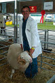 Proudly showing off the prize winning Whitefaced Woodland Tup (Ram), Great Yorkshire Show, July 2004
