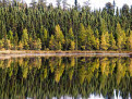 Reflections, Louse River, Boundary Waters Canoe Area Wilderness, Superior National Forest, Minnesota, USA