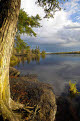 Malberg Lake, Boundary Waters Canoe Area Wilderness, Superior National Forest, Minnesota, USA