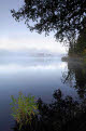 Misty morning, Malberg Lake, Boundary Waters Canoe Area Wilderness, Superior National Forest, Minnesota, USA