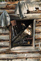 Remains of log cabins at Ericksons Woodcamp, Yukon River, Yukon, Canada