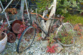 Old push bike, Dawson City, Yukon, Canada