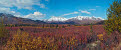 Tombstone Provincial Park in autumn, near Tombstone Campsite, Dempster Highway, Yukon, Canada