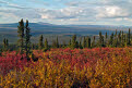 Tundra in autumn, view from Eagle Plains Campsite, Dempster Highway, Yukon, Canada