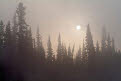 Sunrise over mist covered forest on the shores of the Yukon River, Yukon, Canada