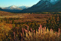 Tombstone Provincial Park in autumn, from the Dempster Highway, Yukon, Canada