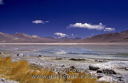 Laguna Blanca, Altiplano, Bolivia