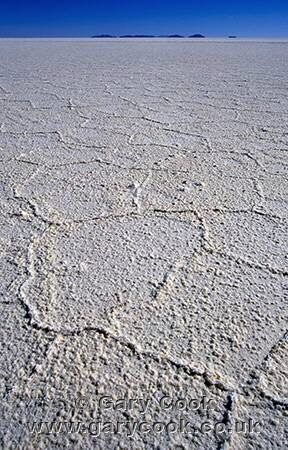 Crytalising salt forms hexagons, Salar de Uyuni, Altiplano, Bolivia