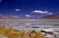 Laguna Blanca, Altiplano, Bolivia