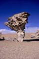 Windblown rocks, said to have inspired Salvador Dali, Altiplano, Bolivia