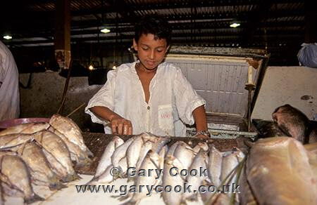 Fish Market, Manaus, Brazil