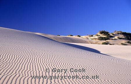 Sand dunes, Canoa Quebrada beach, Ceara, north east Brazil