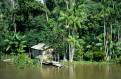 Amazonian Indian settlement, river Amazon, Brazil