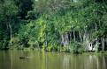 Amazonian indian canoe, Amazon rainforest and river, Brazil