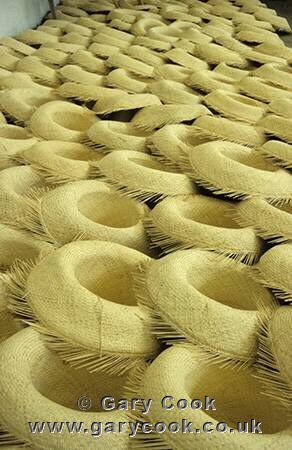 Panama hat factory, Cuenca, Ecuador
