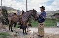 Ecuadorian cowboy with his horse, Ingapirca, Ecuador
