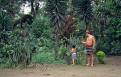 Colorado Indian eduates young boy about the jungle plants, Ecuador