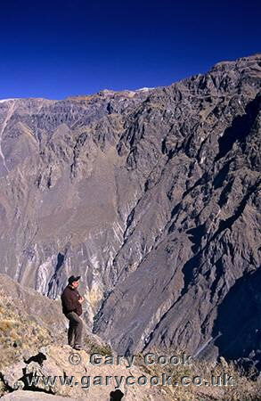 Tourist admiring the view, Colca Canyon, Peru