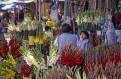 Flower market, Lima, Peru